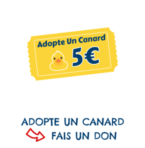 DuckRace Amboise 2022