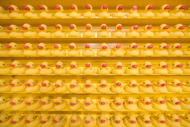 Supporters de canards
